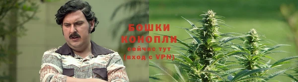 ПСИЛОЦИБИНОВЫЕ ГРИБЫ Вязьма