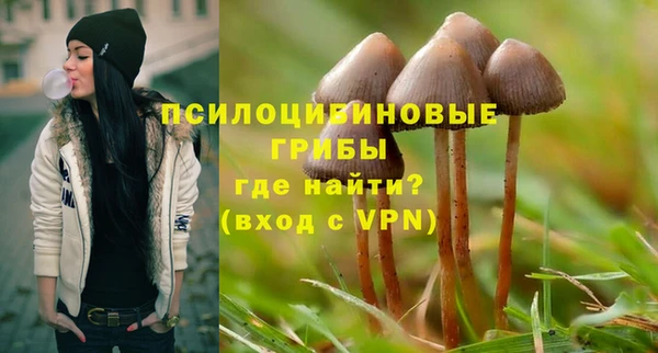 ПСИЛОЦИБИНОВЫЕ ГРИБЫ Вязьма