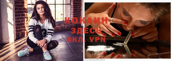 ПСИЛОЦИБИНОВЫЕ ГРИБЫ Вязьма
