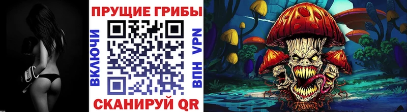 Псилоцибиновые грибы GOLDEN TEACHER  Купить  Нестеров 